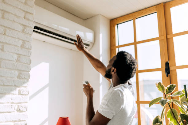 Best Ductless Mini-Split Systems in Fish Hawk, FL